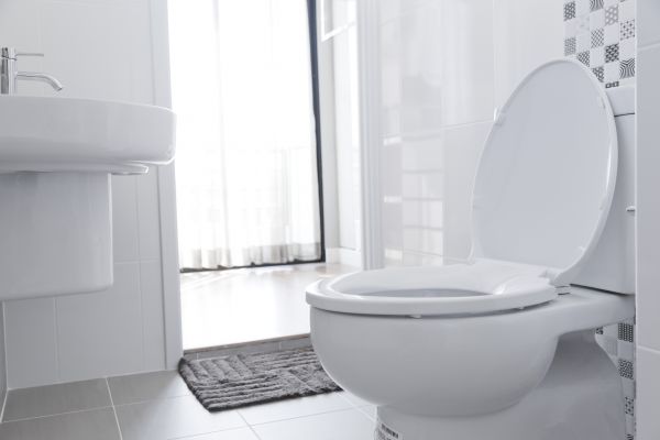 Toilet Seat Installation in Freehold