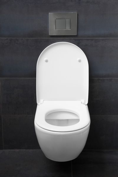 Toilet Lid Installation in Freehold