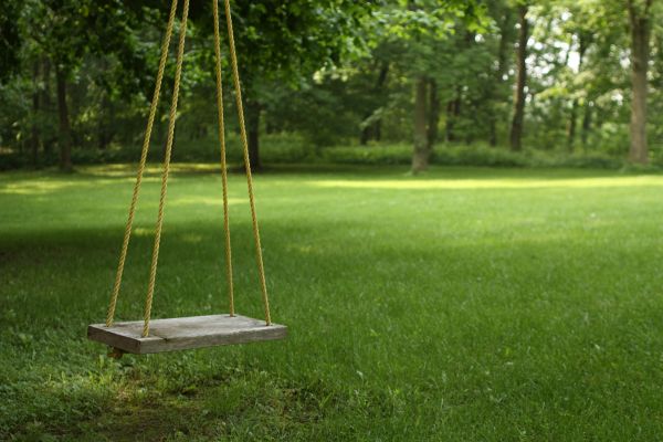 Rope Swing Installation in Freehold
