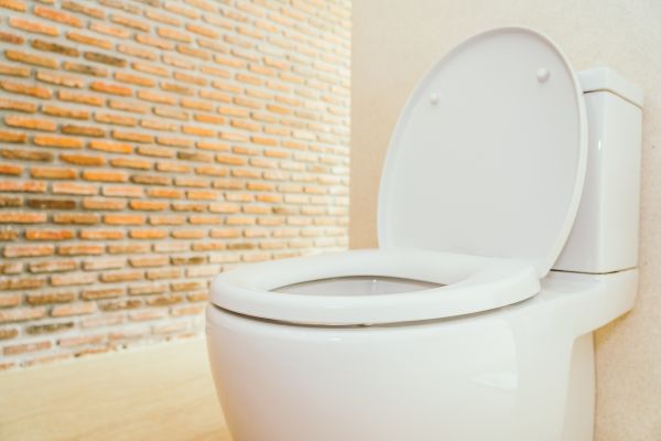 Toilet Seat Repair in Freehold