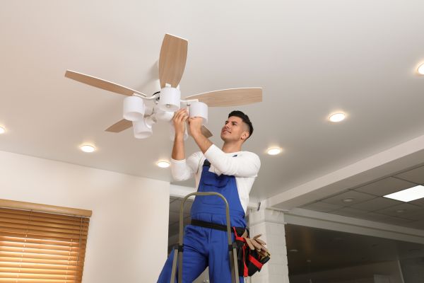 Ceiling Fan Bulb Replacement in Freehold